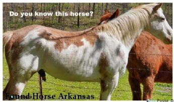 Found Horse Arkansas